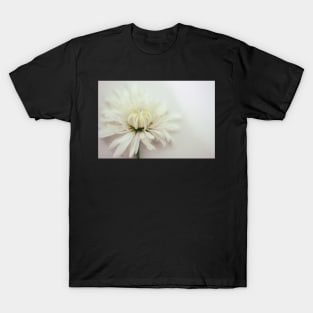 Beautiful Floral Design T-Shirt